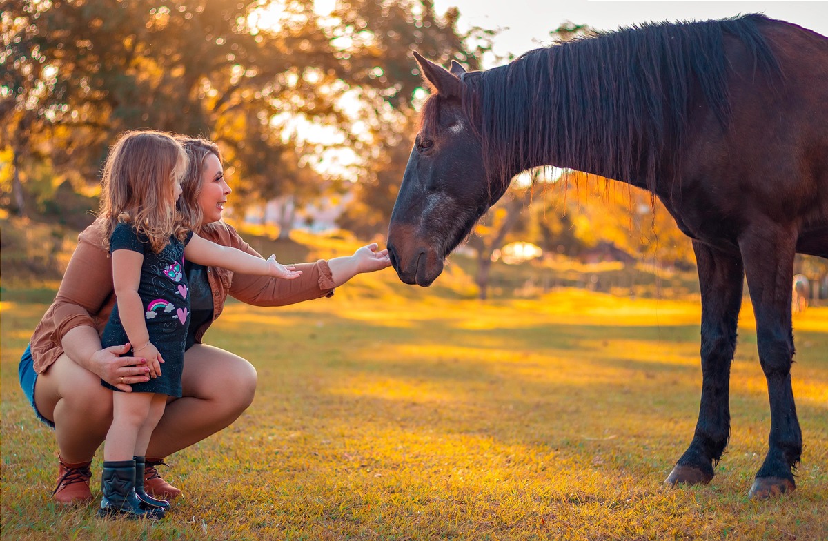 Ensaio de 3 anos da Luiza na Sede Campeira - São Miguel Do Oeste/SC  - Encanto Fotografia
