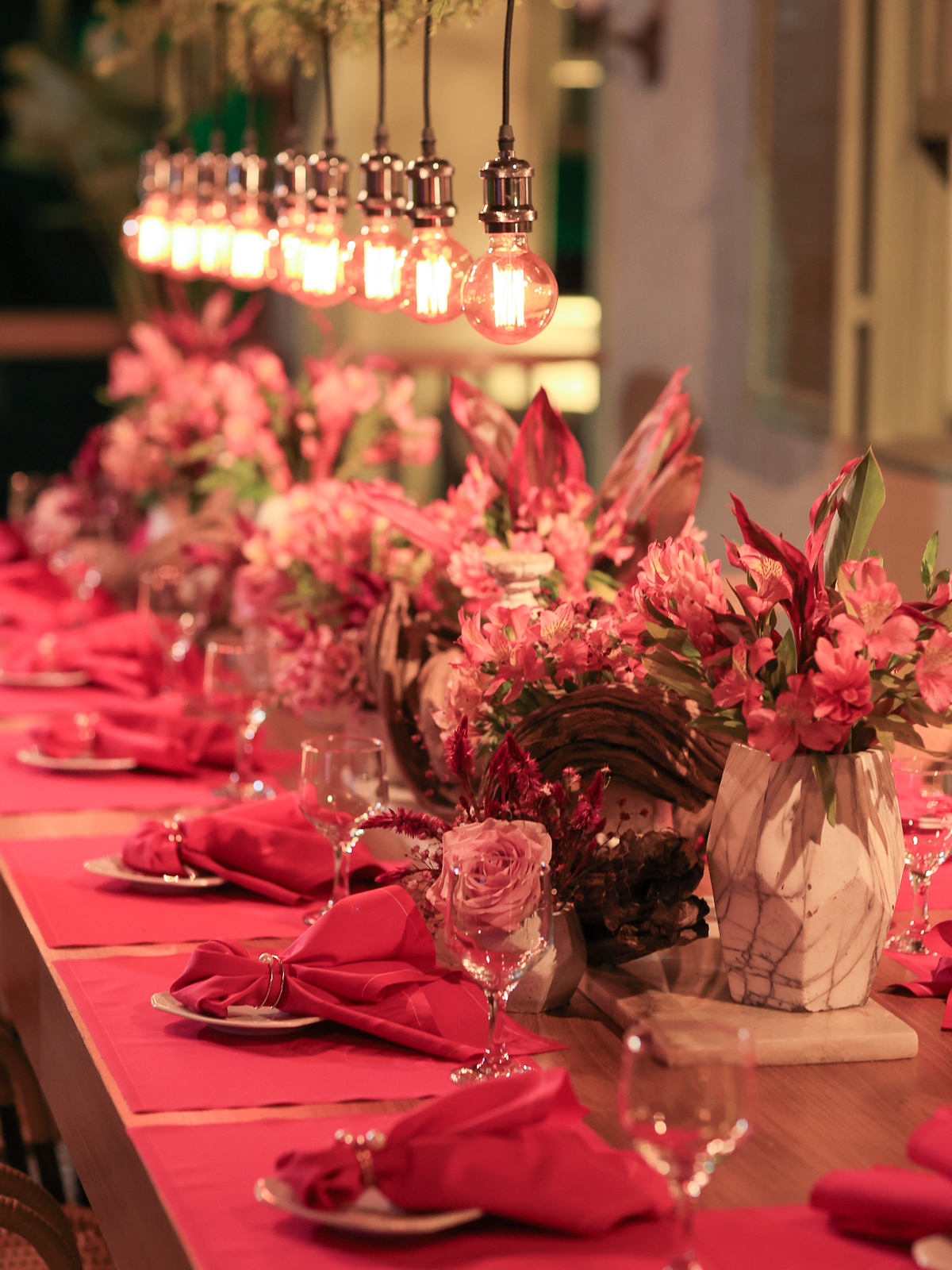 fotografia festa aniversario Ticiana Richmond Virginia EUA iuhuig