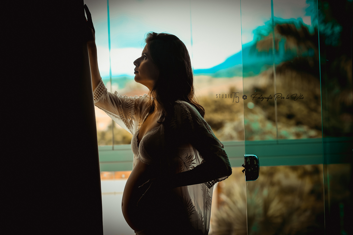 silhueta de gestante