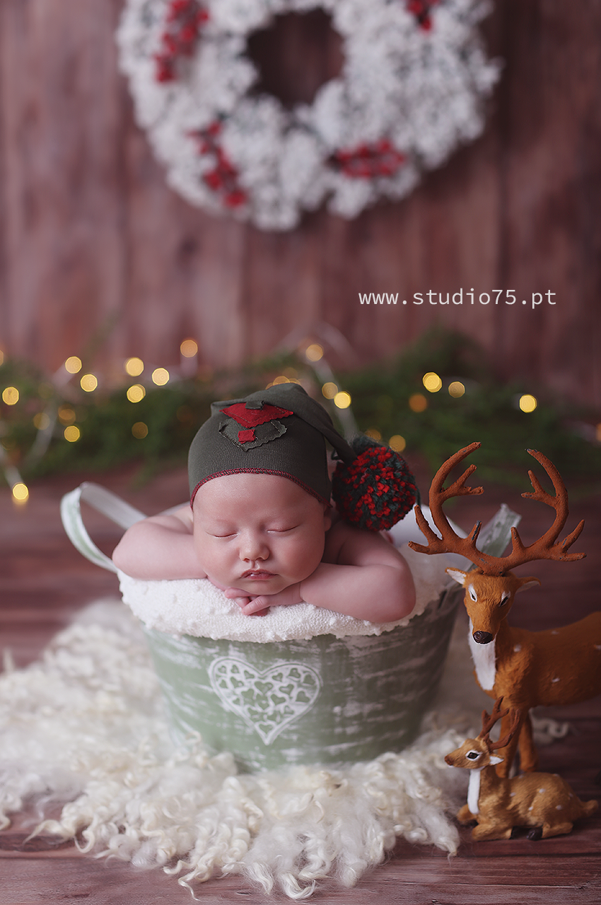 sessão newborn cascais fdfdgh