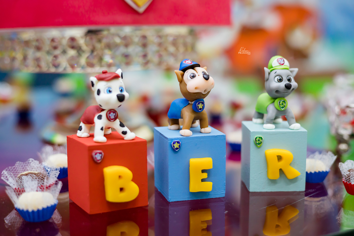 ANIVERSARIO INFANTIL - FOTOGRAFO EM ITAPEVA - ROBSON PRAXEDES - FERFERVENDO