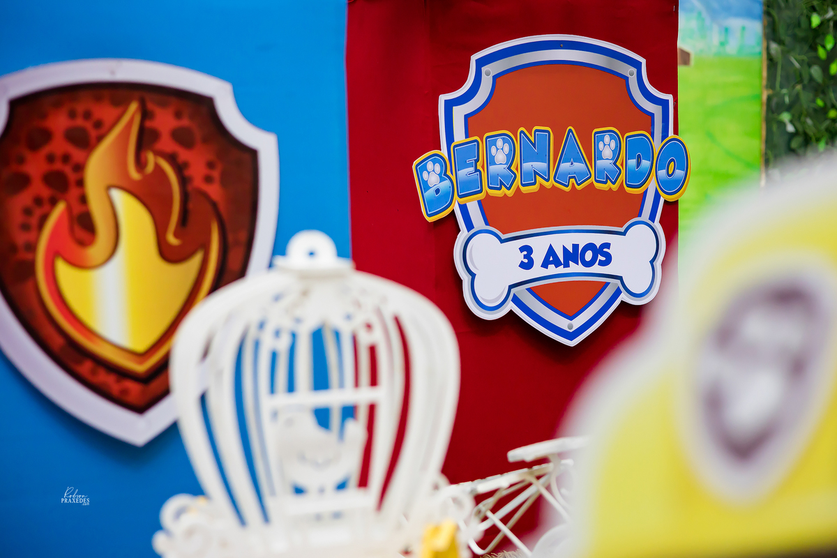 ANIVERSARIO INFANTIL - FOTOGRAFO EM ITAPEVA - ROBSON PRAXEDES - FERFERVENDO