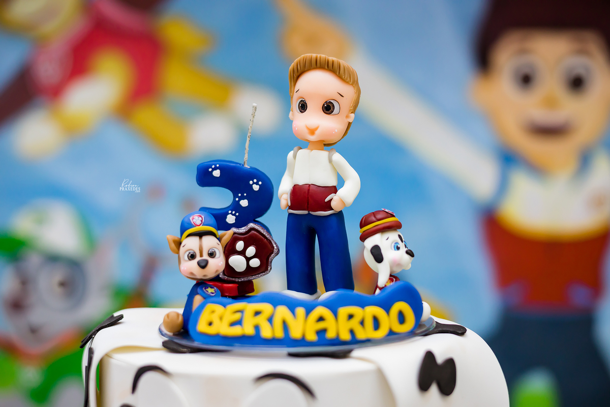 ANIVERSARIO INFANTIL - FOTOGRAFO EM ITAPEVA - ROBSON PRAXEDES - FERFERVENDO