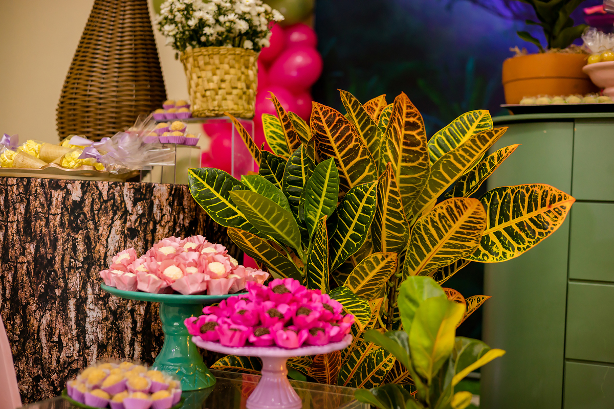 ANIVERSARIO INFANTIL - FOTOGRAFO EM ITAPEVA - ROBSON PRAXEDES - ALGODÃO DOCE