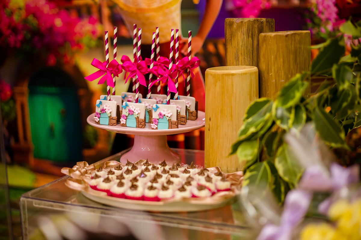 ANIVERSARIO INFANTIL - FOTOGRAFO EM ITAPEVA - ROBSON PRAXEDES - ALGODÃO DOCE