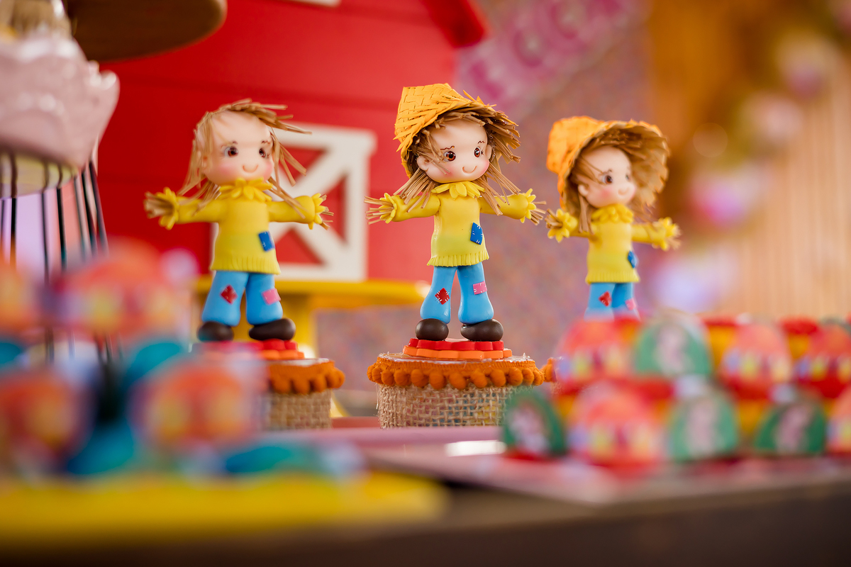 ANIVERSARIO INFANTIL - FOTOGRAFO EM ITABERA - ROBSON PRAXEDES - FESTA JUNINA - BRUNA FESTAS - ITABERA