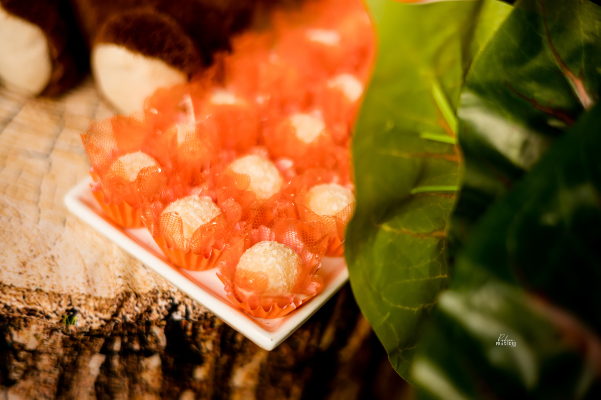 FOTOS CHA DE BEBE - FOTOGRAFO EM ITABERA - ROBSON PRAXEDES