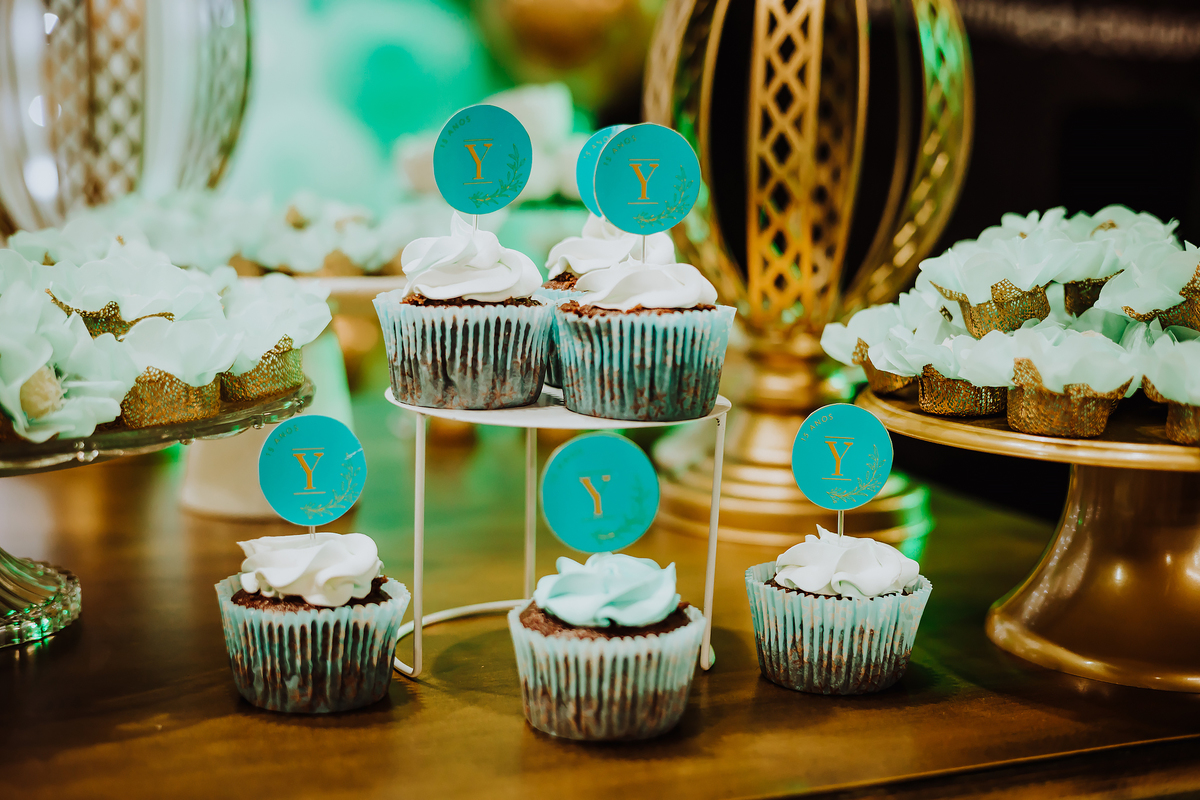 ANIVERSÁRIO 15 ANOS - DEBUTANTE - FOTOGRAFO EM ITAPEVA - ROBSON PRAXEDES - CHACARA VOVO LOURDES - POSES 15 ANOS