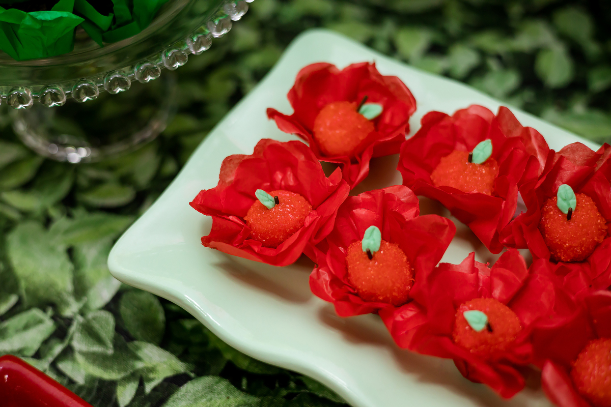 ANIVERSARIO INFANTIL - SALÃO ALGODAO DOCE ITAPEVA - FOTOGRAFO EM ITAPEVA - ROBSON PRAXEDES - POSES FOTO DE ANIVERSARIO