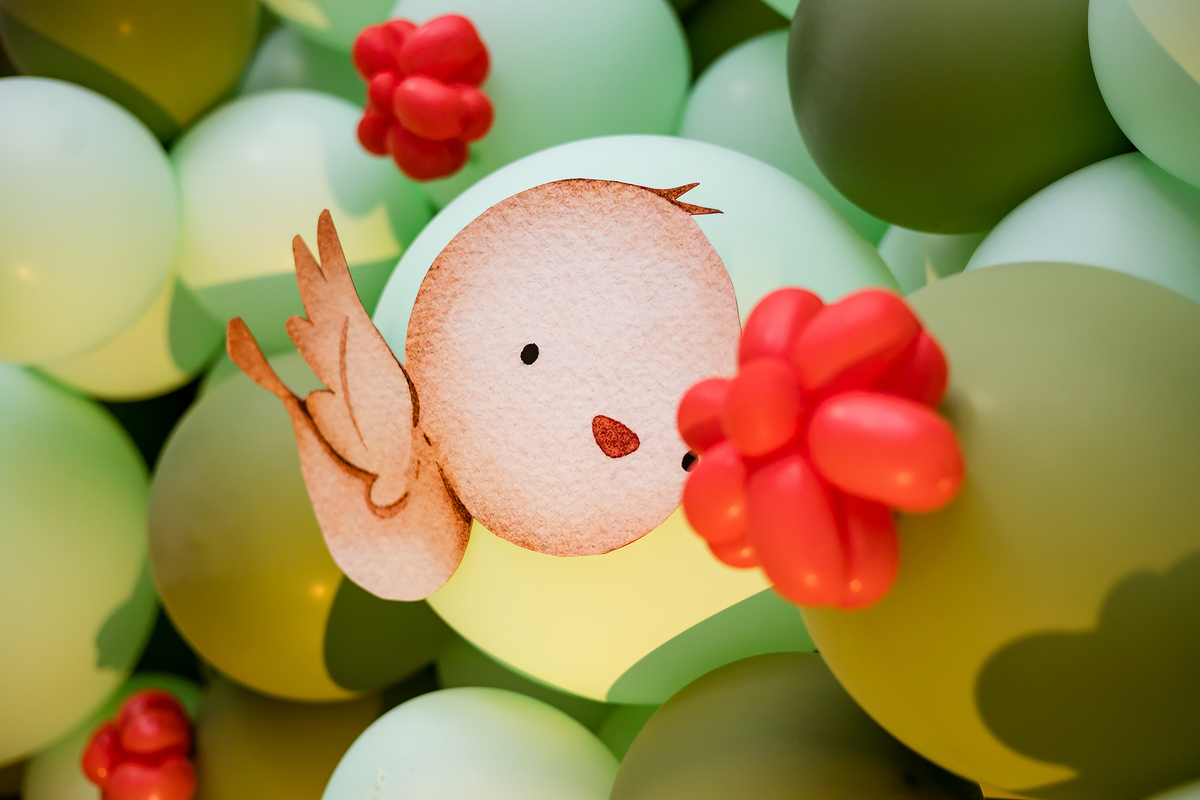 ANIVERSARIO INFANTIL - SALÃO ALGODAO DOCE ITAPEVA - FOTOGRAFO EM ITAPEVA - ROBSON PRAXEDES - POSES FOTO DE ANIVERSARIO