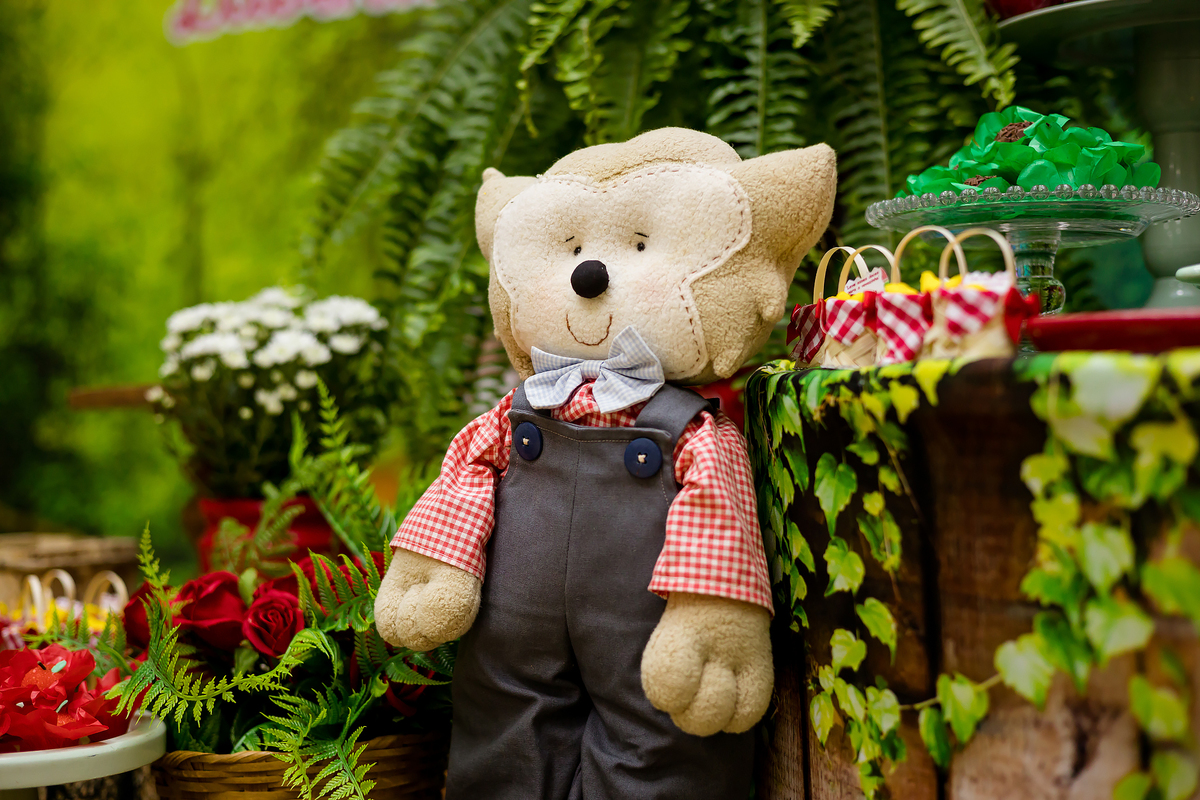 ANIVERSARIO INFANTIL - SALÃO ALGODAO DOCE ITAPEVA - FOTOGRAFO EM ITAPEVA - ROBSON PRAXEDES - POSES FOTO DE ANIVERSARIO