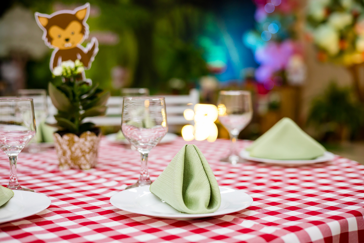 ANIVERSARIO INFANTIL - SALÃO ALGODAO DOCE ITAPEVA - FOTOGRAFO EM ITAPEVA - ROBSON PRAXEDES - POSES FOTO DE ANIVERSARIO