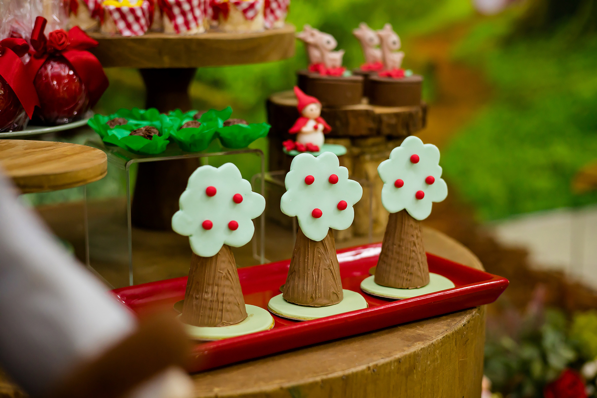 ANIVERSARIO INFANTIL - SALÃO ALGODAO DOCE ITAPEVA - FOTOGRAFO EM ITAPEVA - ROBSON PRAXEDES - POSES FOTO DE ANIVERSARIO