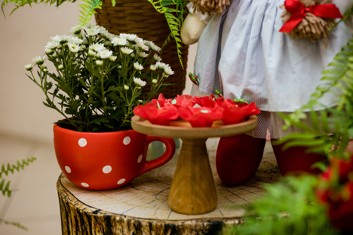 ANIVERSARIO INFANTIL - SALÃO ALGODAO DOCE ITAPEVA - FOTOGRAFO EM ITAPEVA - ROBSON PRAXEDES - POSES FOTO DE ANIVERSARIO