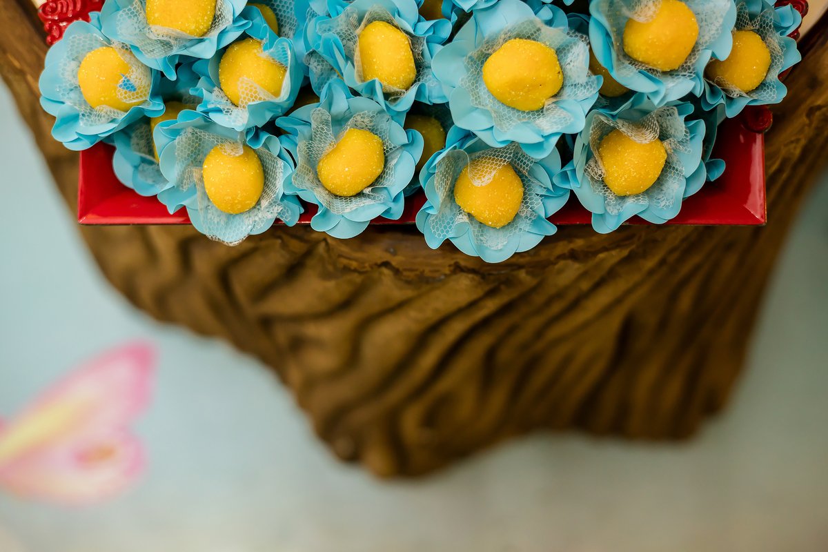 FOTOS DE ANIVERSARIO INFANTIL - CASA DE FESTAS SONHO MEU - FOTOGRAFO EM ITAPEVA - ROBSON PRAXEDES