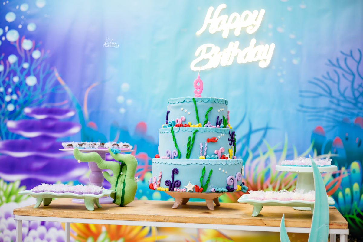 ANIVERSÁRIO INFANTIL - SALAO ALGODAO DOCE - DECORACAO JOSI RATIMBIM - DJ JUNIOR ZUMP - FOTOGRAFO EM ITAPEVA - ROBSON PRAXEDES