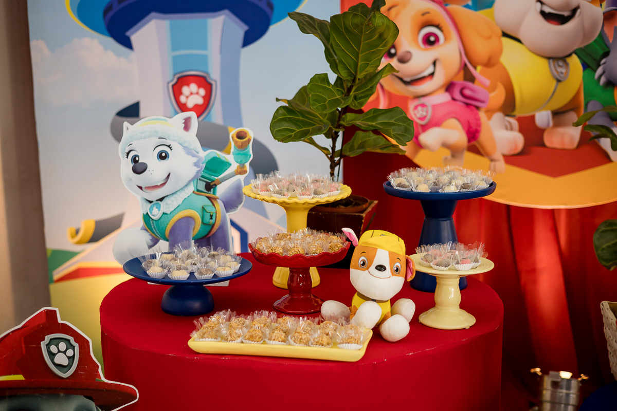 FOTOS DE ANIVERSARIO INFANTIL - CASA DE FESTAS SONHO MEU - FOTOGRAFO EM ITAPEVA - ROBSON PRAXEDES