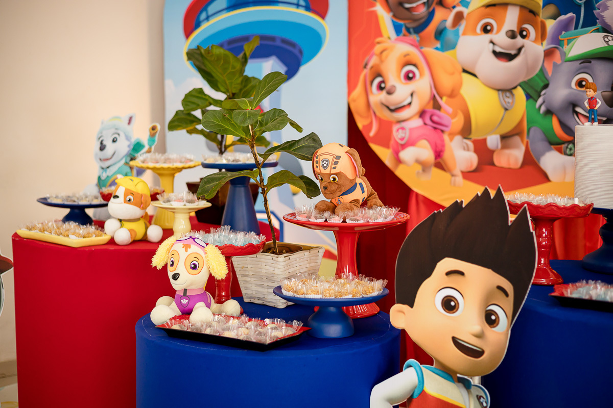 FOTOS DE ANIVERSARIO INFANTIL - CASA DE FESTAS SONHO MEU - FOTOGRAFO EM ITAPEVA - ROBSON PRAXEDES