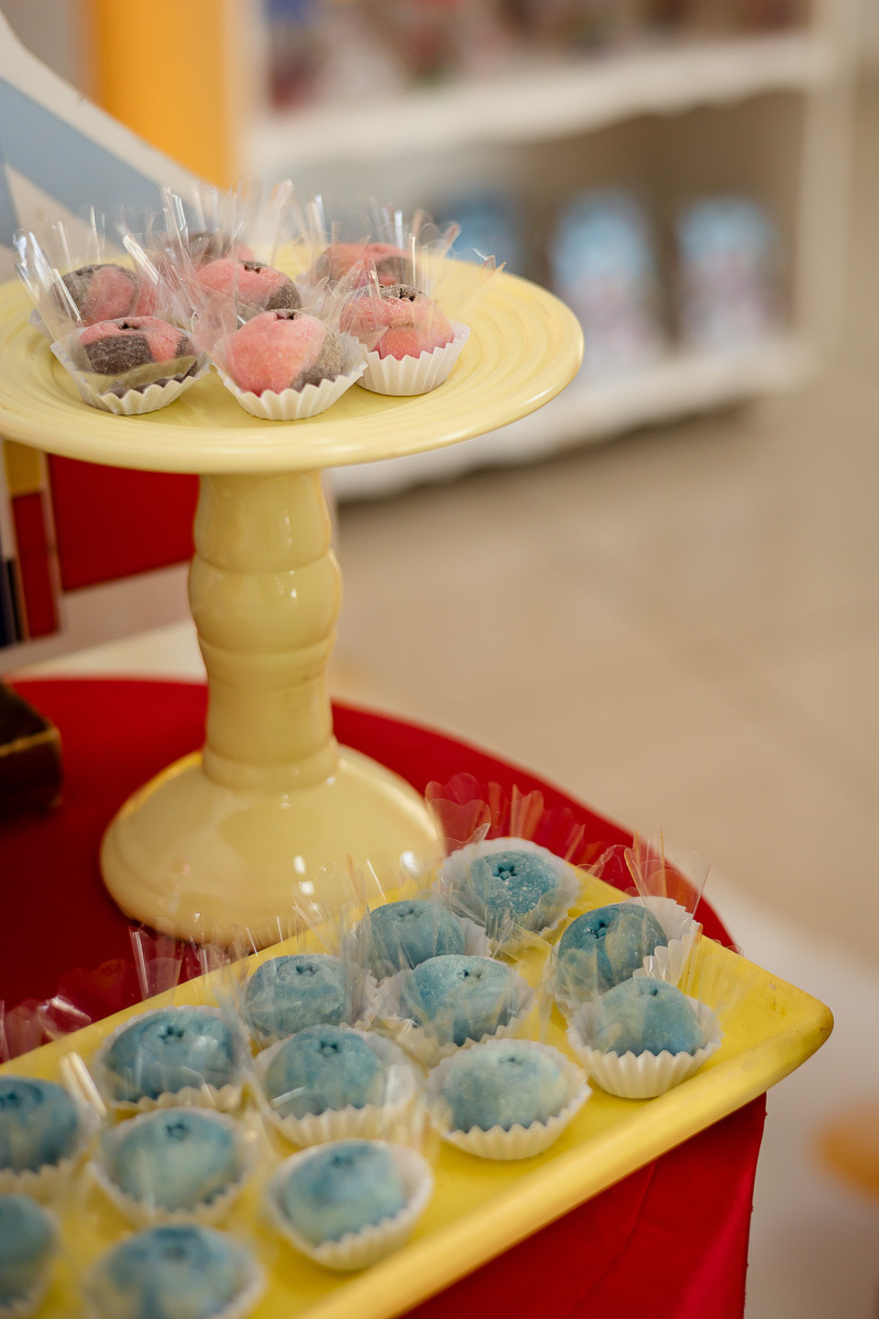 FOTOS DE ANIVERSARIO INFANTIL - CASA DE FESTAS SONHO MEU - FOTOGRAFO EM ITAPEVA - ROBSON PRAXEDES