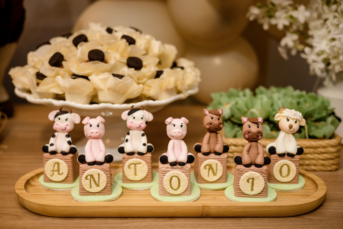 ANIVERSARIO INFANTIL - FOTOGRAFO EM SENGES - ROBSON PRAXEDES - ESTANCIA OLHO DAGUA 