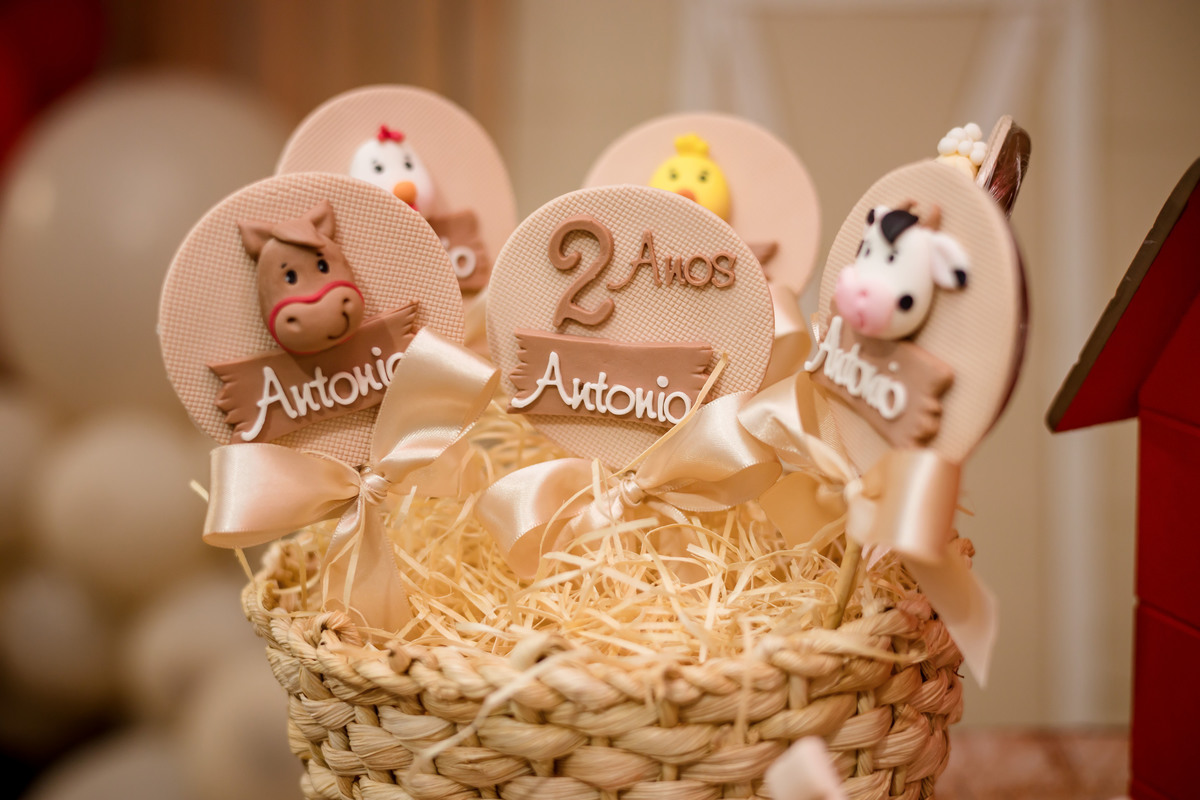 ANIVERSARIO INFANTIL - FOTOGRAFO EM SENGES - ROBSON PRAXEDES - ESTANCIA OLHO DAGUA 