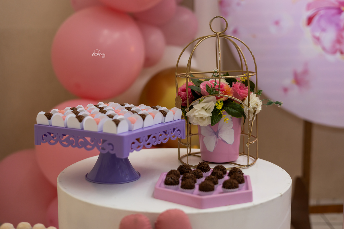 ANIVERSARIO INFANTIL - FOTOGRAFO EM ITAPEVA - ROBSON PRAXEDES - FERFERVENDO - ALCIONE NOBRE DECORAÇÃO