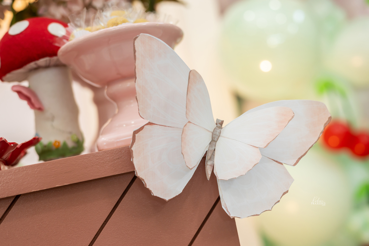 FOTOS ANIVERSARIO INFANTIL - CASA DE FESTAS SONHO MEU ITABERA - FOTOGRAFO EM ITABERA - ROBSON PRAXEDES