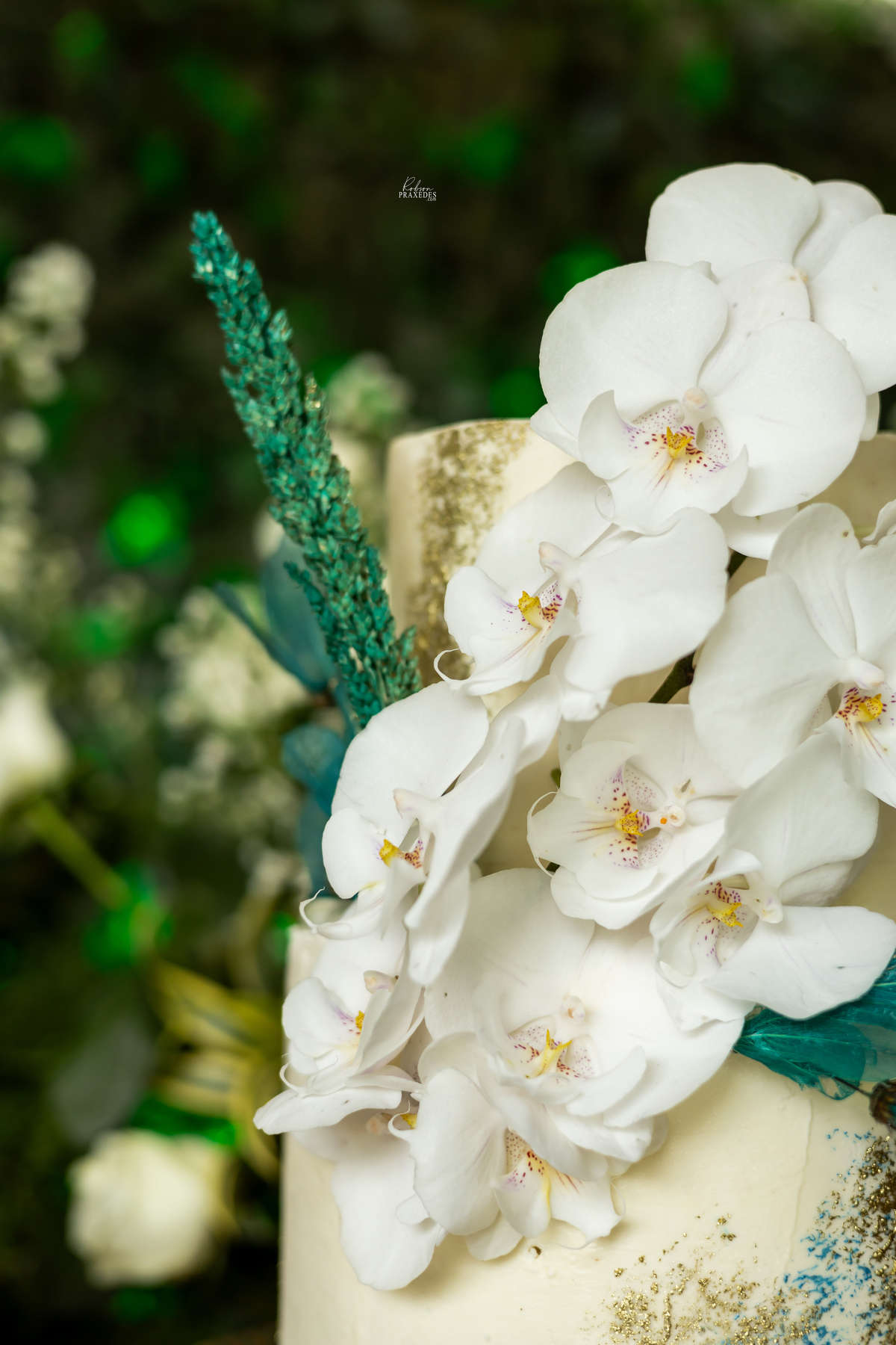 CASAMENTO EM BOTUCATU - CASAMENTO CHACARA MURO DE PEDRA - FOTOGRAFO EM BOTUCATU - ROBSON PRAXEDES