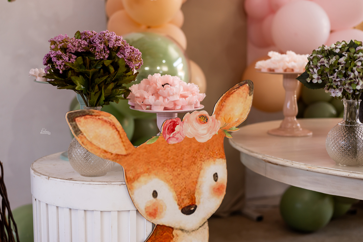 FOTOS DE ANIVERSARIO INFANTIL - FOTOGRAFO EM ITARARE - ROBSON PRAXEDES