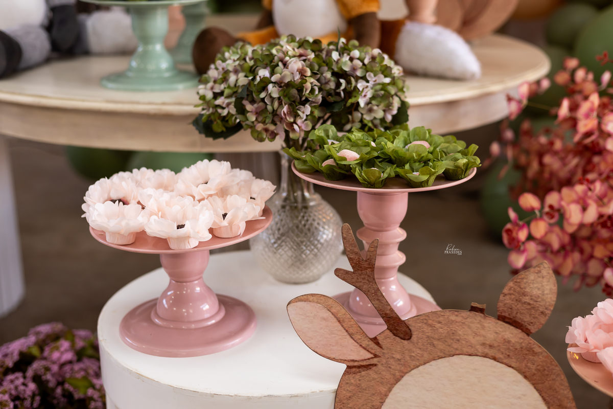 FOTOS DE ANIVERSARIO INFANTIL - FOTOGRAFO EM ITARARE - ROBSON PRAXEDES