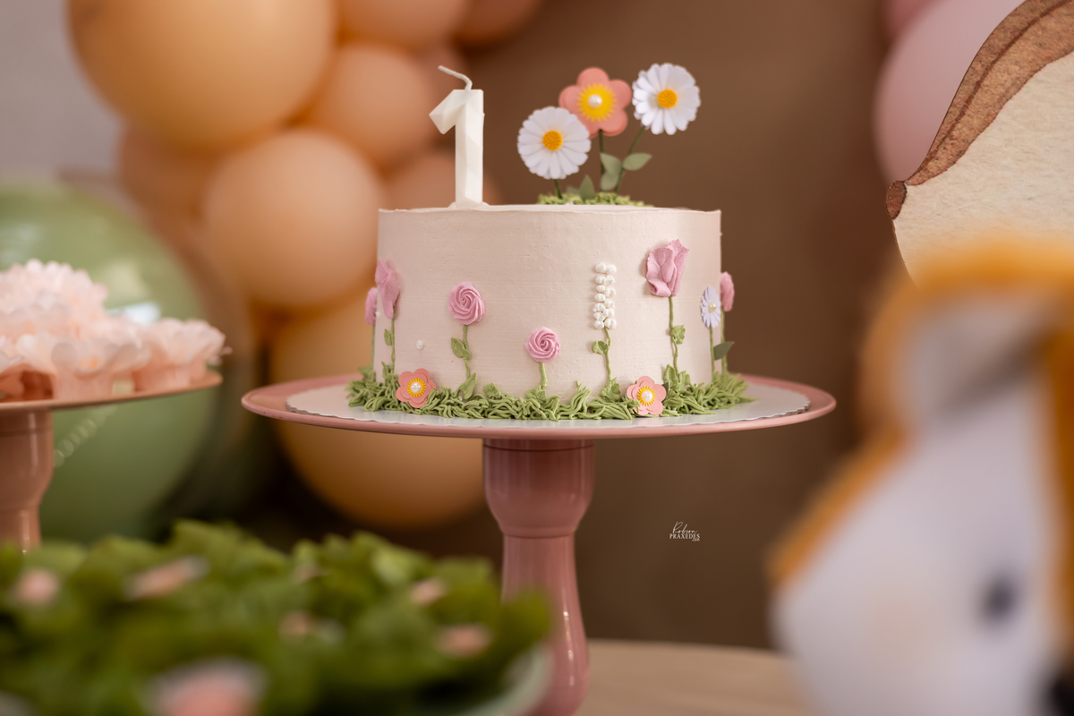 FOTOS DE ANIVERSARIO INFANTIL - FOTOGRAFO EM ITARARE - ROBSON PRAXEDES