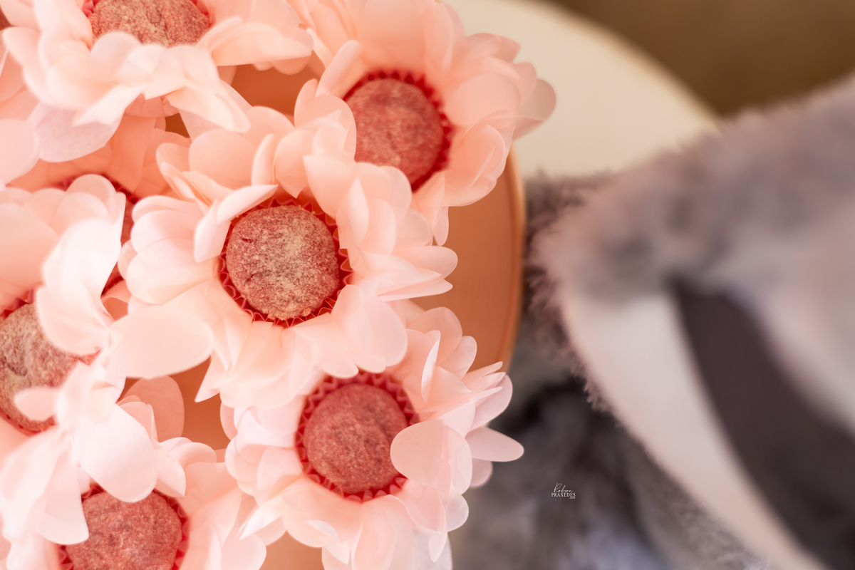 FOTOS DE ANIVERSARIO INFANTIL - FOTOGRAFO EM ITARARE - ROBSON PRAXEDES