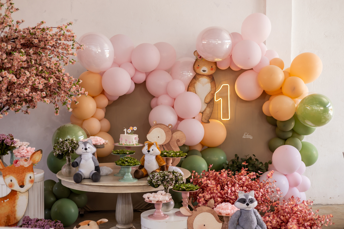 FOTOS DE ANIVERSARIO INFANTIL - FOTOGRAFO EM ITARARE - ROBSON PRAXEDES