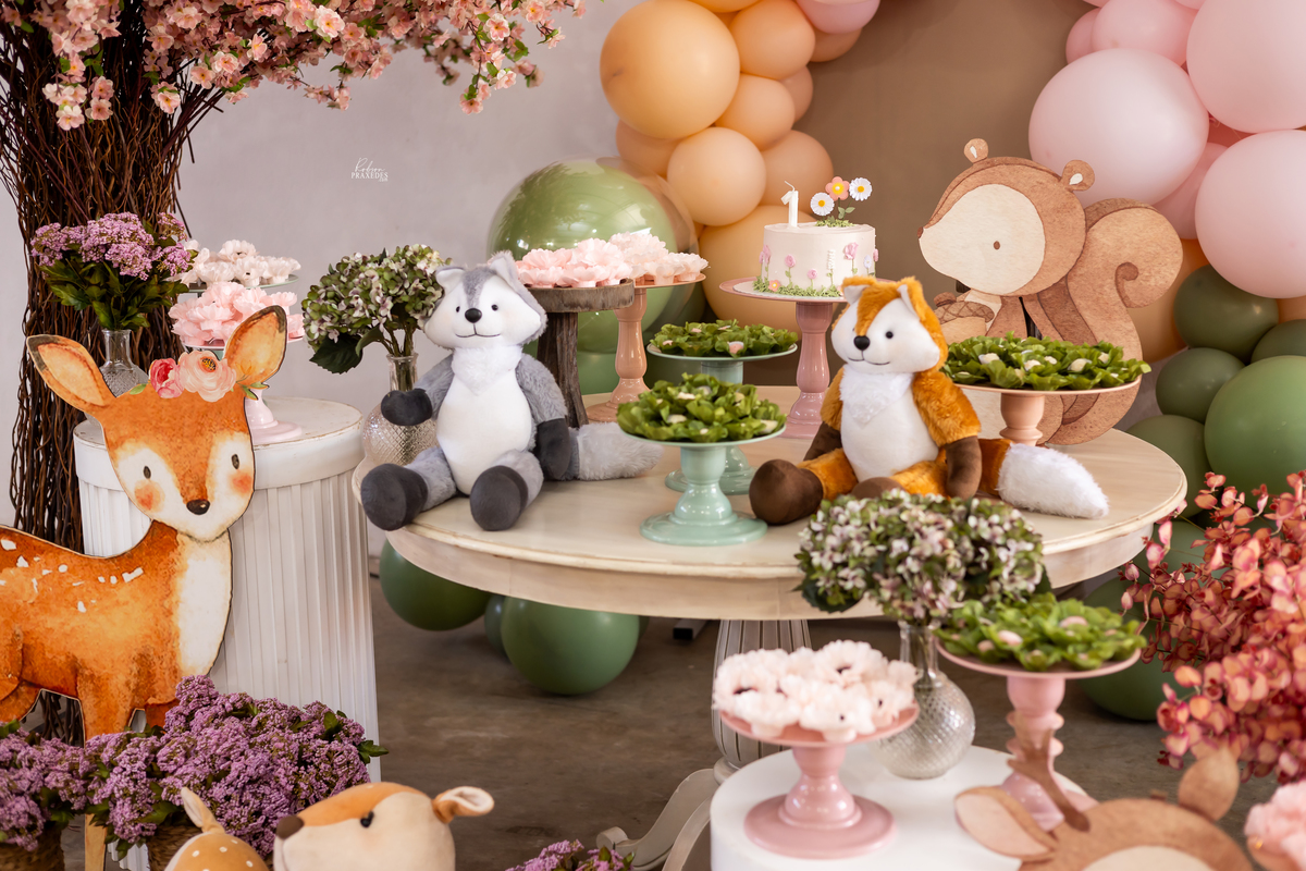 FOTOS DE ANIVERSARIO INFANTIL - FOTOGRAFO EM ITARARE - ROBSON PRAXEDES