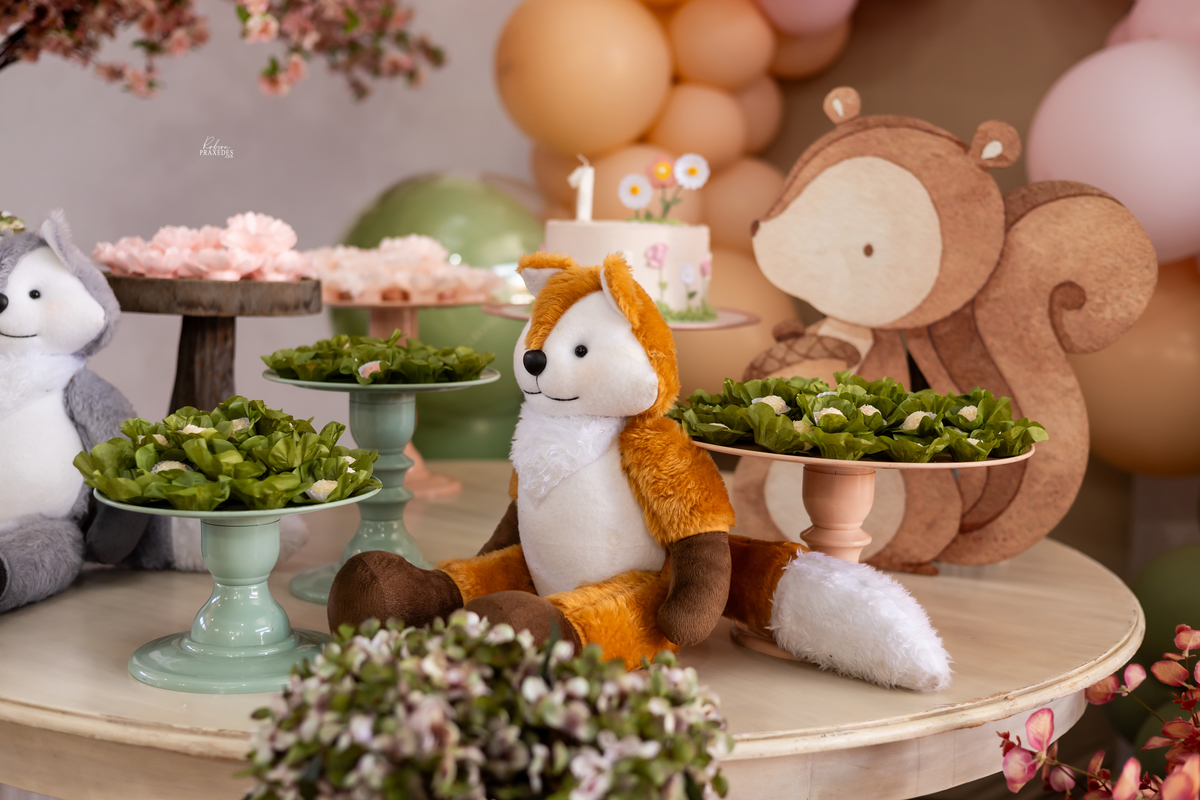 FOTOS DE ANIVERSARIO INFANTIL - FOTOGRAFO EM ITARARE - ROBSON PRAXEDES