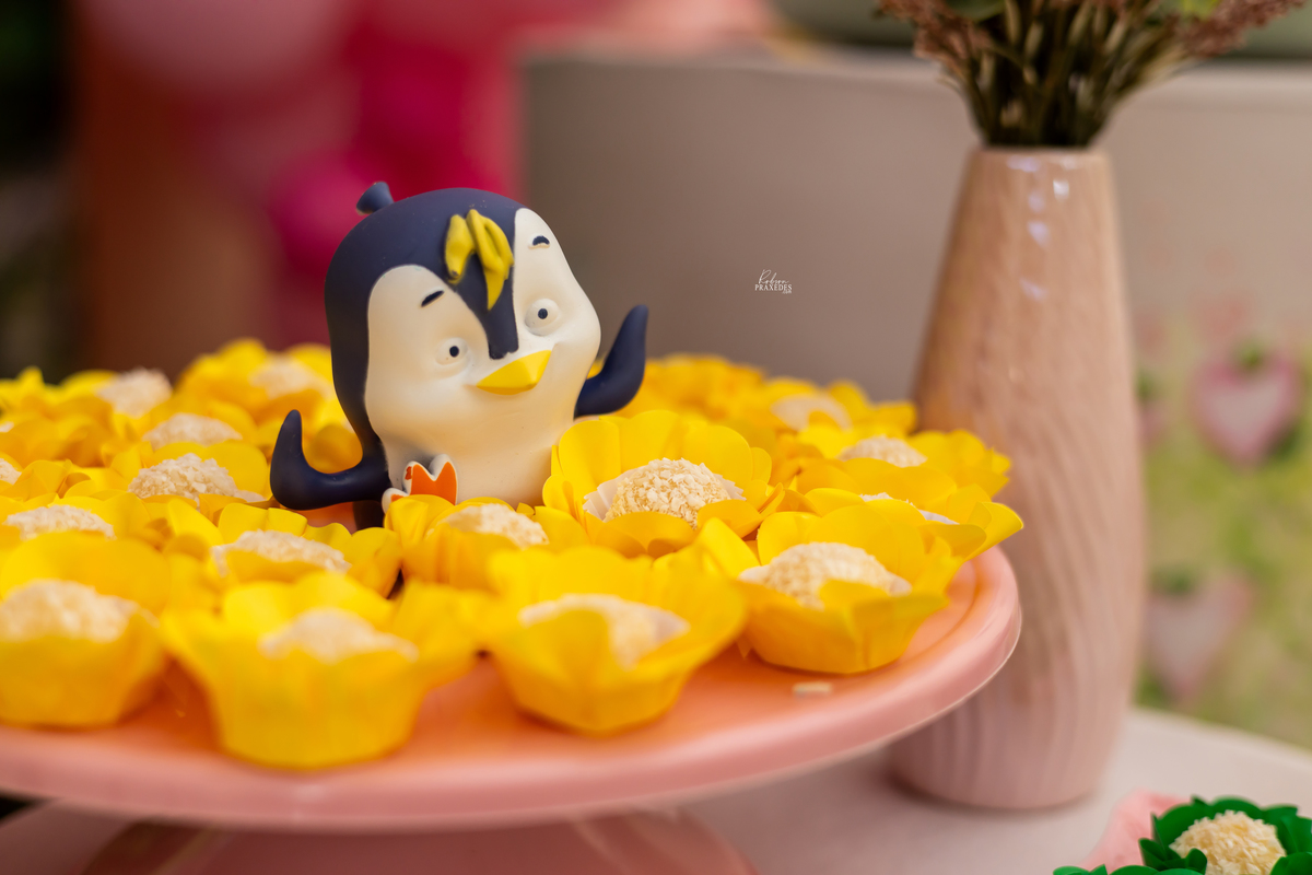 FOTOS DE ANIVERSARIO INFANTIL - BUFFET FERFERVENDO ITAPEVA - FOTOGRAFO EM ITAPEVA - ROBSON PRAXEDES - FESTA MARSHA E O URSO