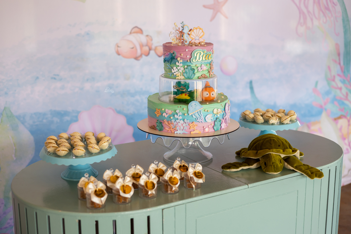 ANIVERSARIO INFANTIL - CHACARA BABIZ ITARARE - FOTOGRAFO EM ITARARE ROBSON PRAXEDES