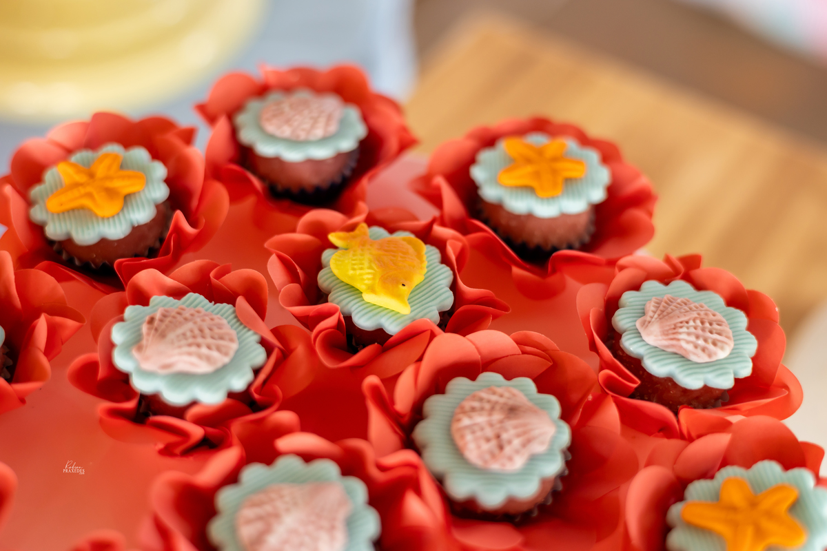 ANIVERSARIO INFANTIL - CHACARA BABIZ ITARARE - FOTOGRAFO EM ITARARE ROBSON PRAXEDES