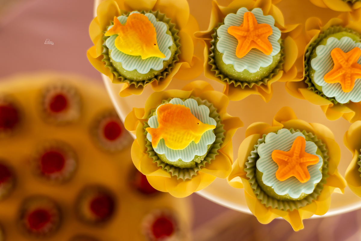 ANIVERSARIO INFANTIL - CHACARA BABIZ ITARARE - FOTOGRAFO EM ITARARE ROBSON PRAXEDES