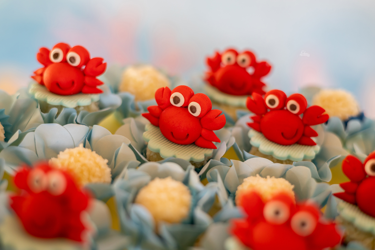 ANIVERSARIO INFANTIL - CHACARA BABIZ ITARARE - FOTOGRAFO EM ITARARE ROBSON PRAXEDES