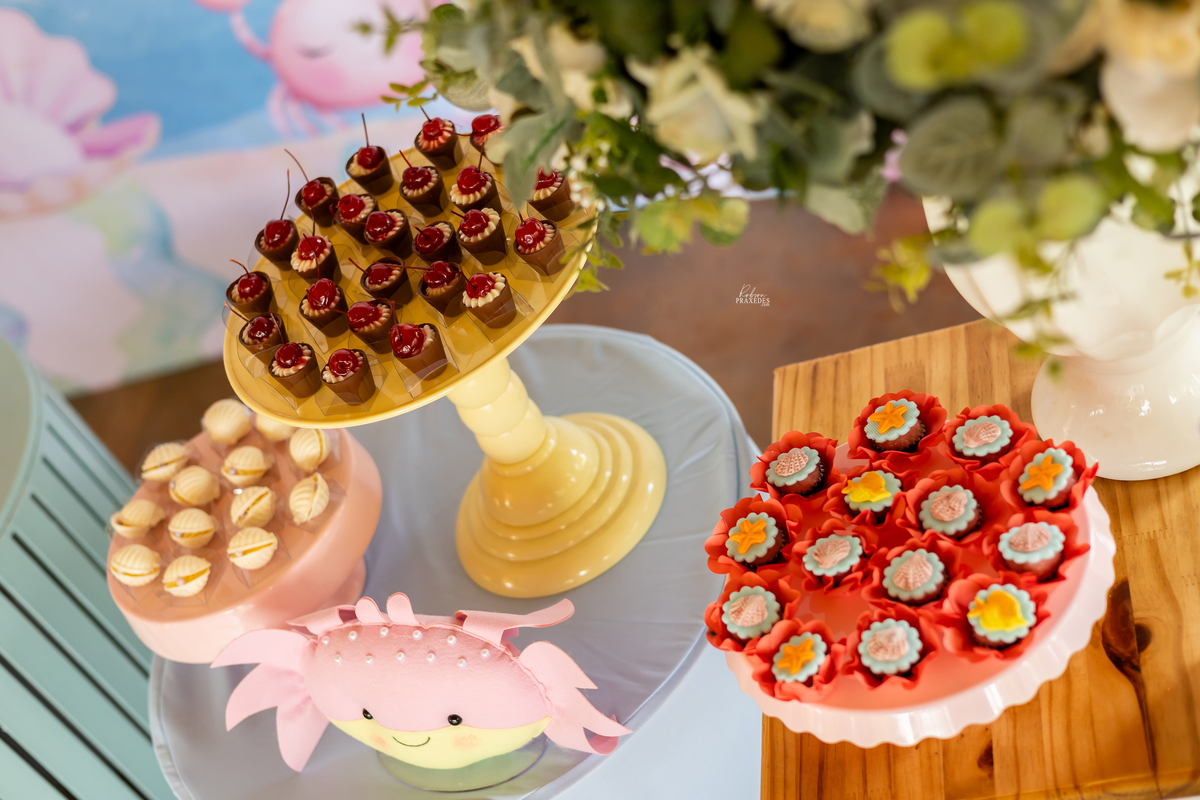 ANIVERSARIO INFANTIL - CHACARA BABIZ ITARARE - FOTOGRAFO EM ITARARE ROBSON PRAXEDES