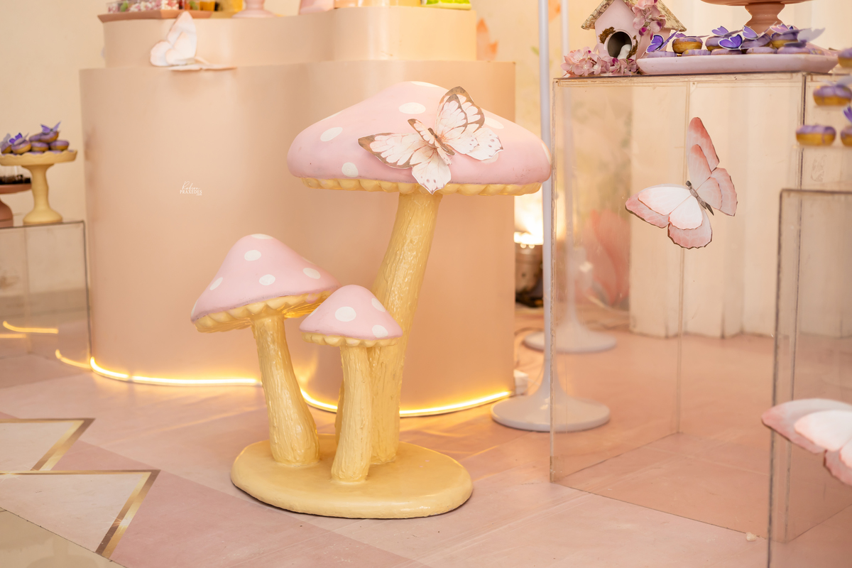 ANIVERSARIO INFANTIL - CASA DE FESTAS SONHO MEU - FOTOGRAFO EM ITAPEVA ROBSON PRAXEDES