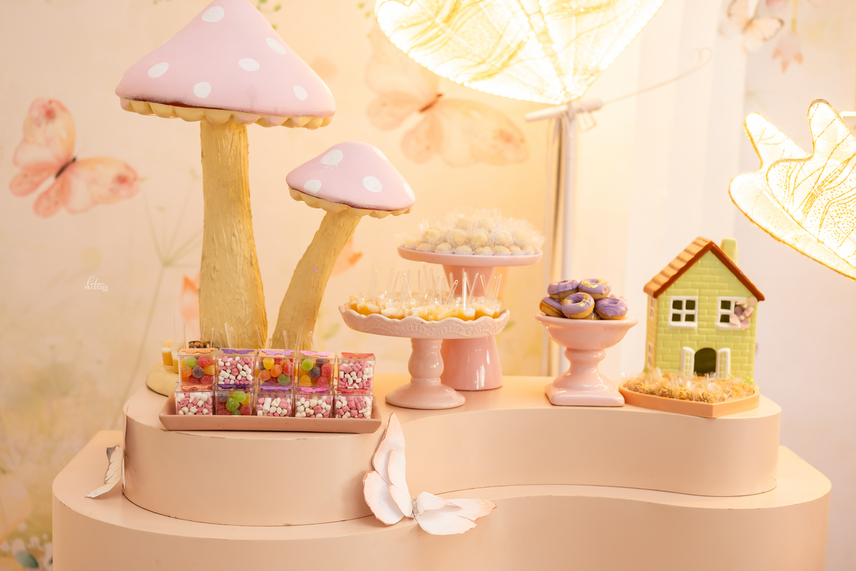 ANIVERSARIO INFANTIL - CASA DE FESTAS SONHO MEU - FOTOGRAFO EM ITAPEVA ROBSON PRAXEDES