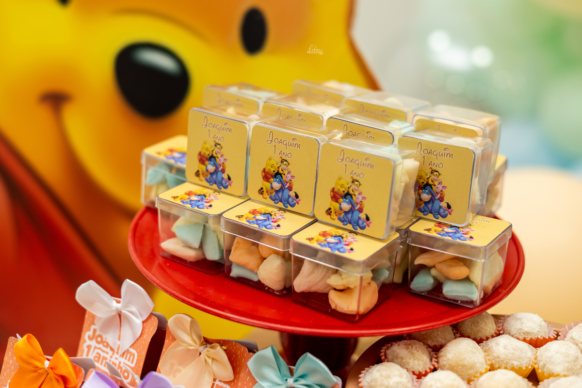 FOTOS DE ANIVERSARIO INFANTIL - SALAO AGODAO DOCE EM ITAPEVA - FOTOGRAFO EM ITAPEVA ROBSON PRAXEDES - DECORE KIDS ITAPEVA - DOIS AMORES DOCES