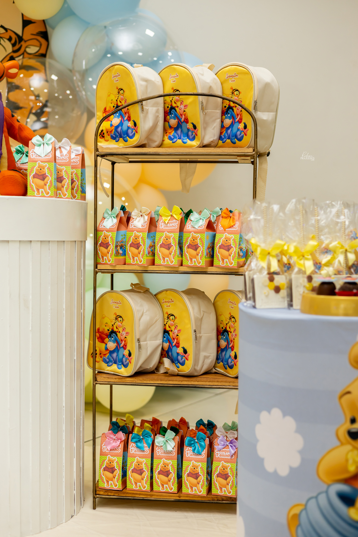 FOTOS DE ANIVERSARIO INFANTIL - SALAO AGODAO DOCE EM ITAPEVA - FOTOGRAFO EM ITAPEVA ROBSON PRAXEDES - DECORE KIDS ITAPEVA - DOIS AMORES DOCES