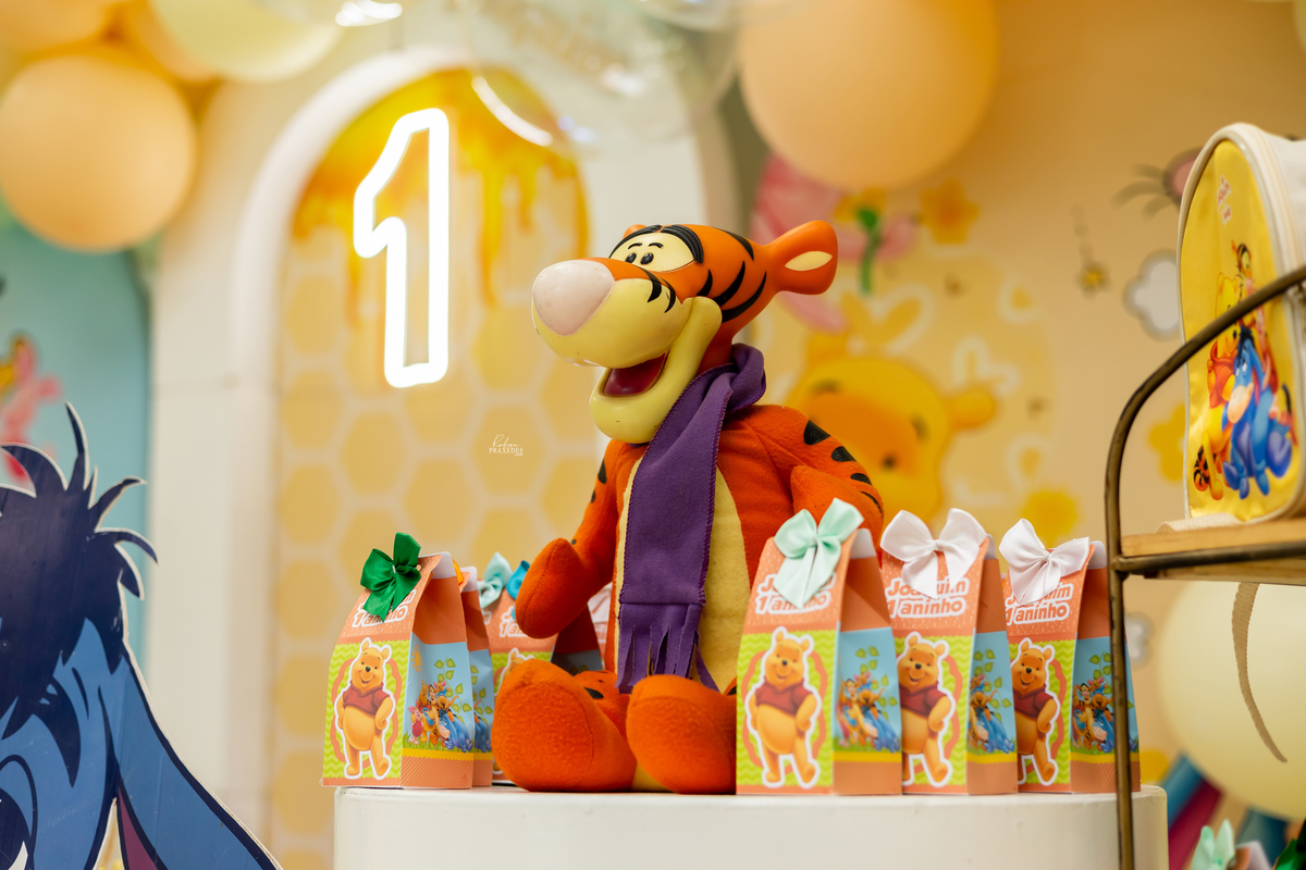 FOTOS DE ANIVERSARIO INFANTIL - SALAO AGODAO DOCE EM ITAPEVA - FOTOGRAFO EM ITAPEVA ROBSON PRAXEDES - DECORE KIDS ITAPEVA - DOIS AMORES DOCES