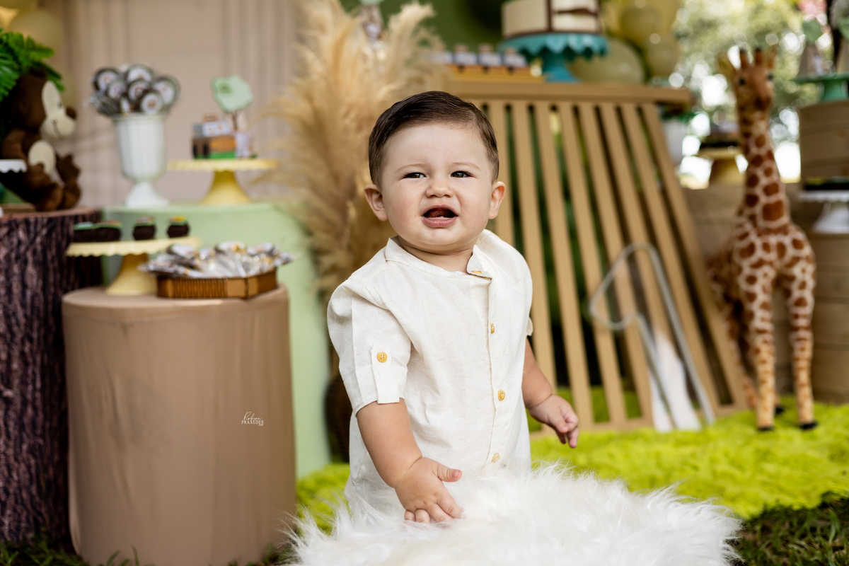 ANIVERSARIO INFANTIL - ANIVERSARIO EM ITAPEVA - FOTOGRAFO EM ITAPEVA ROBSON PRAXEDES - VALERIA DECORAÇÕES