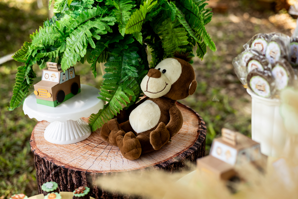 ANIVERSARIO INFANTIL - ANIVERSARIO EM ITAPEVA - FOTOGRAFO EM ITAPEVA ROBSON PRAXEDES - VALERIA DECORAÇÕES