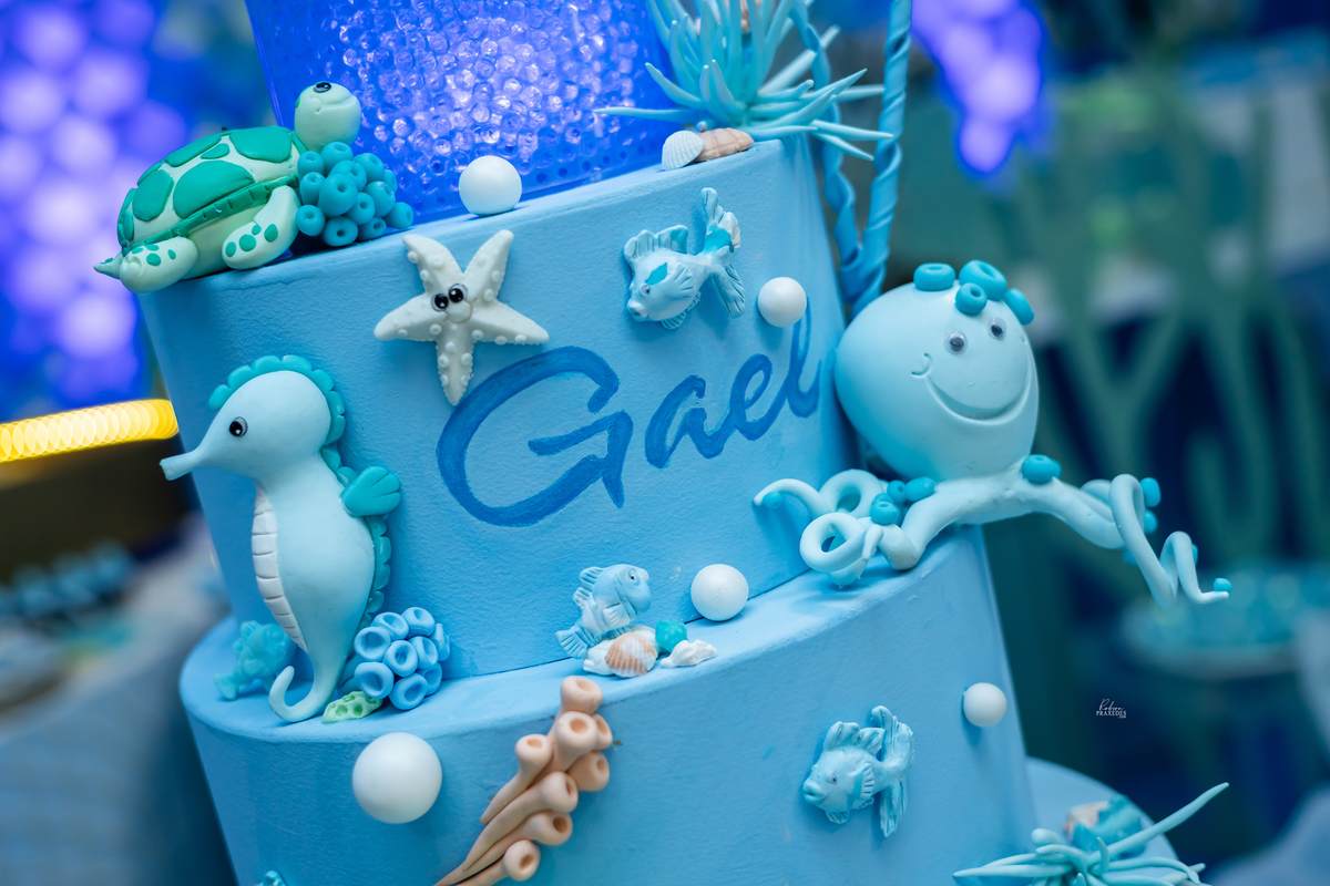 ANIVERSARIO INFANTIL TEMA FUNDO DO MAR - JOSI RATIMBUM - IANELLI DECORACOES - SALAO ALGODAO DOCE - DJ ZUMP - FOTOGRAFO EM ITAPEVA ROBSON PRAXEDES