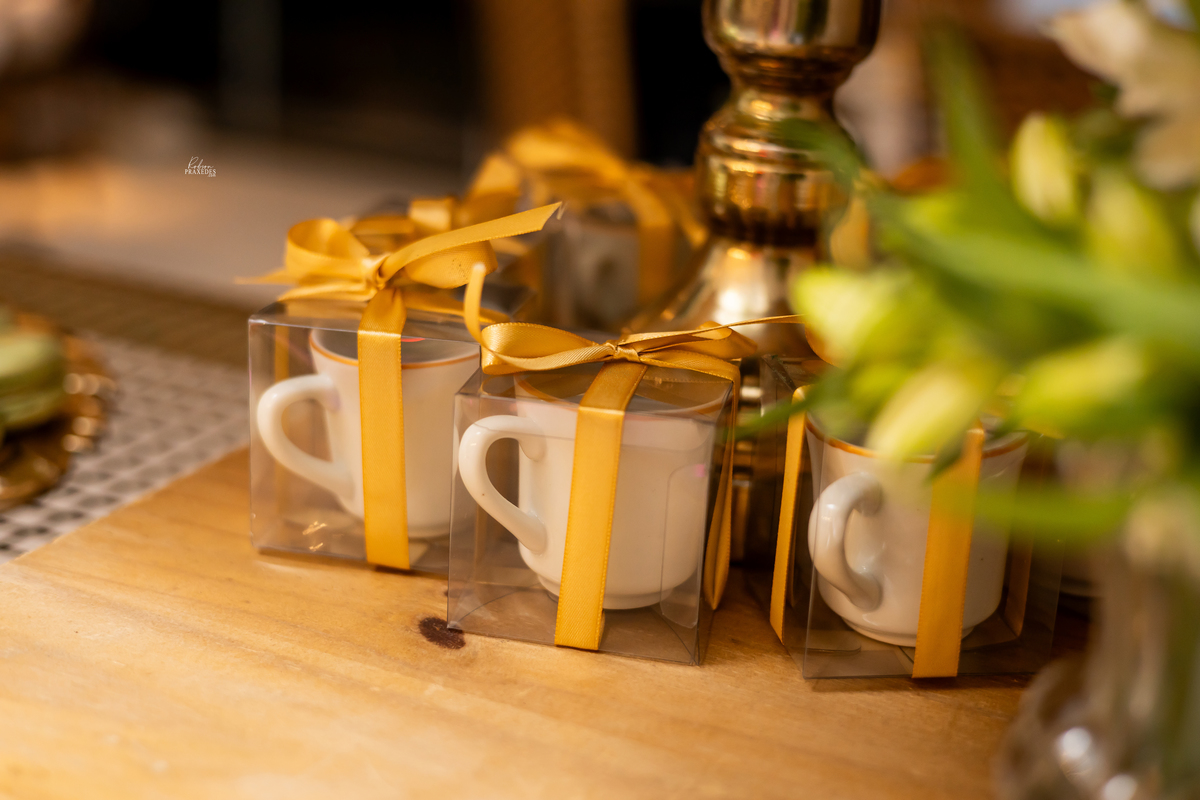 BODAS DE OURO - MANACA ITAPEVA - FOTOGRAFO EM ITAPEVA - ROBSON PRAXEDES - AUDIOGAMA